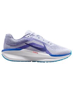 Tênis Nike FJ9509 006 Air Winflo 11 Masculino