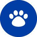 mascota